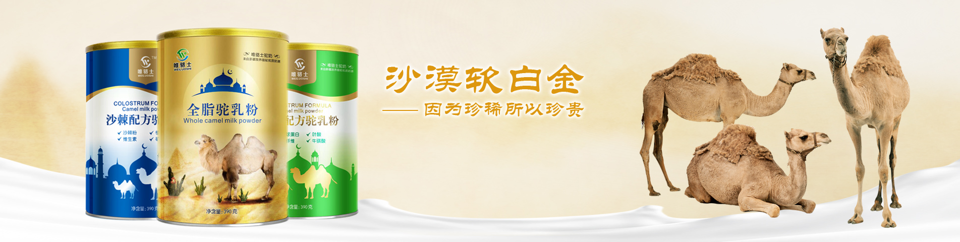 首页